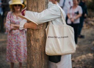 Khao Yai Art Forest คว้า World’s Greatest Places จาก TIME Magazine